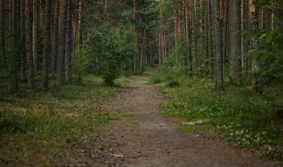 The 60% Rule: Building Healthy Habits That Last Decades