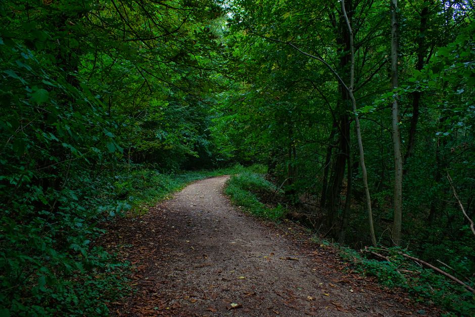Holding On to A Balanced Approach To Wellness Over Time