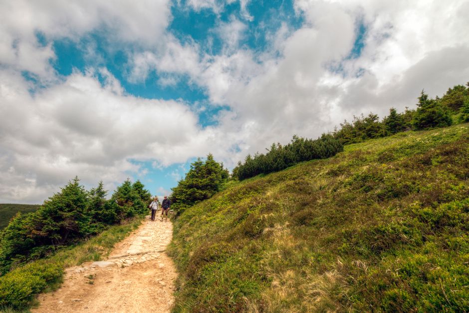 A Practical Take on A Balanced Approach To Wellness, Explained Simply