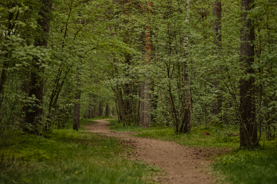 A Sensible Look at Starting Over Without Starting From Scratch, Made Simple