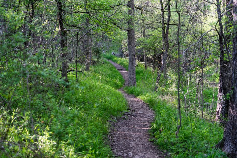 Why The Habit Of Moving Through The Day Is Worth Your Attention, Step by Step