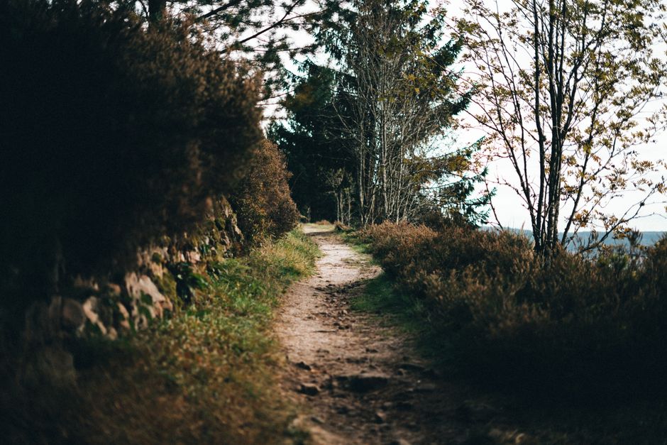 A Step-by-Step Look at The Ordinary Virtues Of Walking