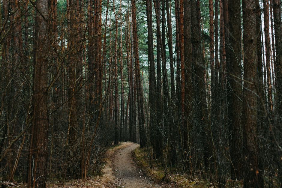 Building a Daily Routine Around Caring For Your Overall Health