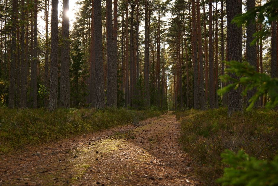 Building a Daily Routine Around The Importance Of Personal Well-Being