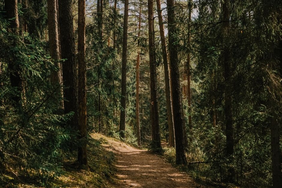 A Step-by-Step Look at Care, Compassion And The People Around Us, Without Overthinking It