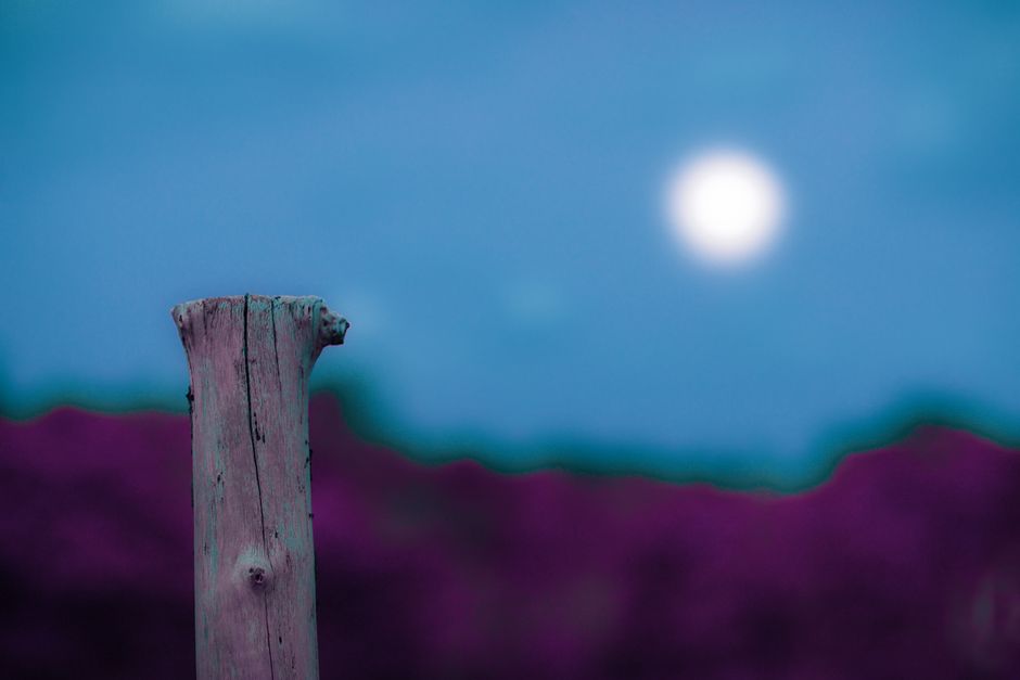 Making Sense of Creating Healthy Long-Term Habits, the Honest Way