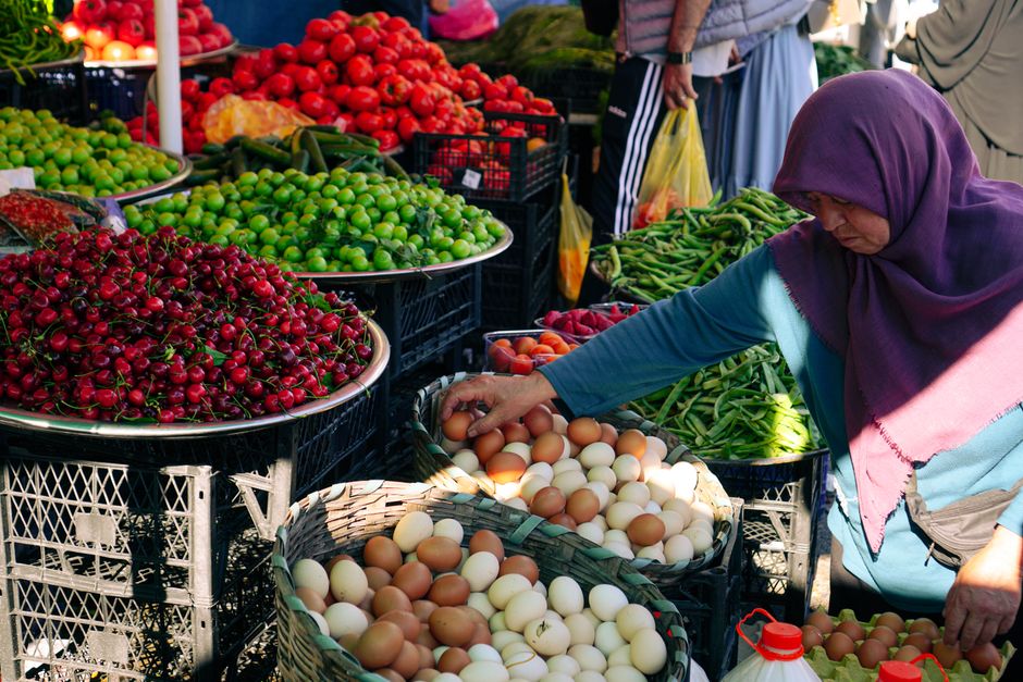 A Sensible Look at Everyday Wellness Tips, Day by Day