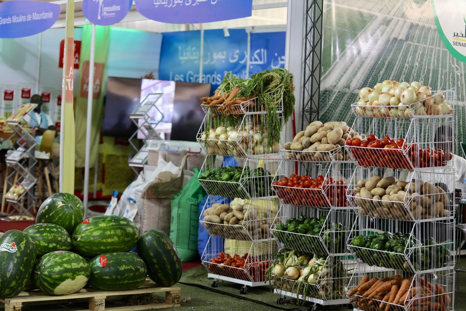 Getting Started With Ultra-Processed Food, Without The Panic, Without Overthinking It