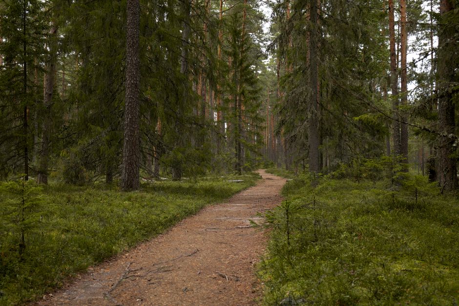 Building a Daily Routine Around Understanding Health And Wellness, Without the Hype