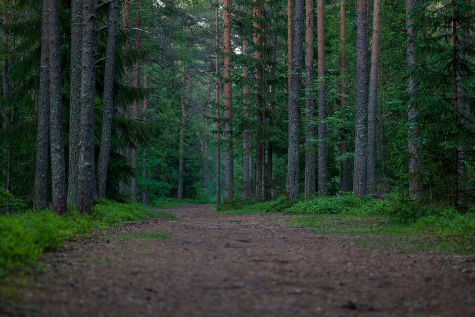 Habits: How They Actually Form: What Not to Do