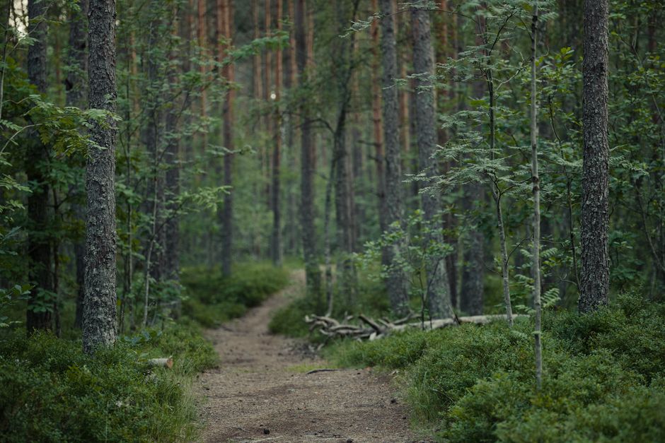 Health And Uncertainty: A Simple Checklist