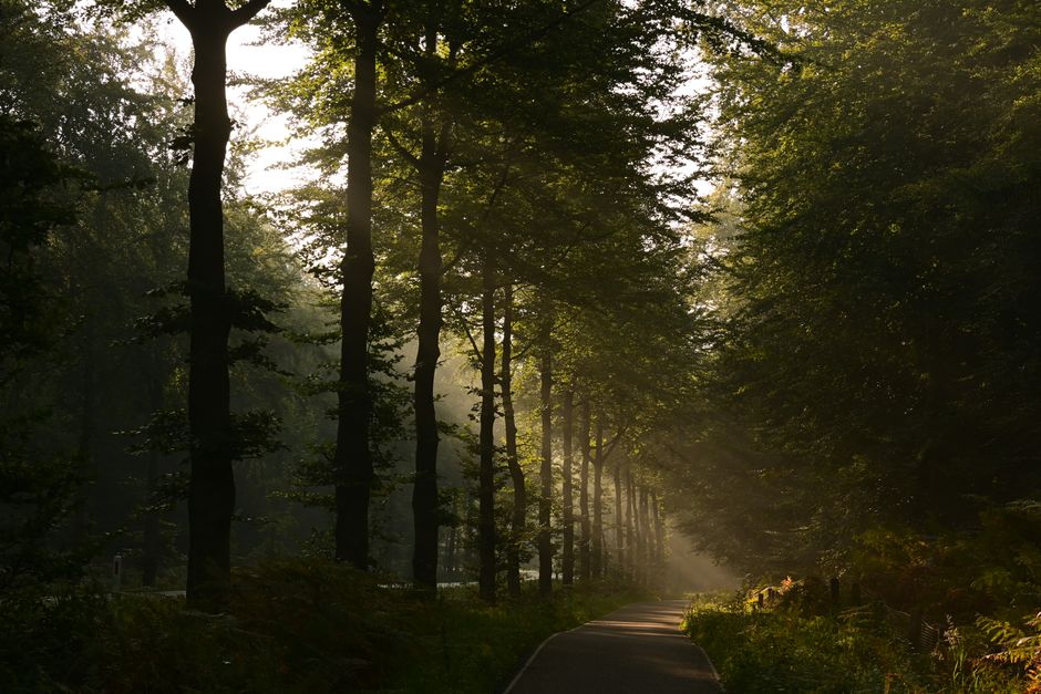 Health As A Daily Practice: What Changes With Age