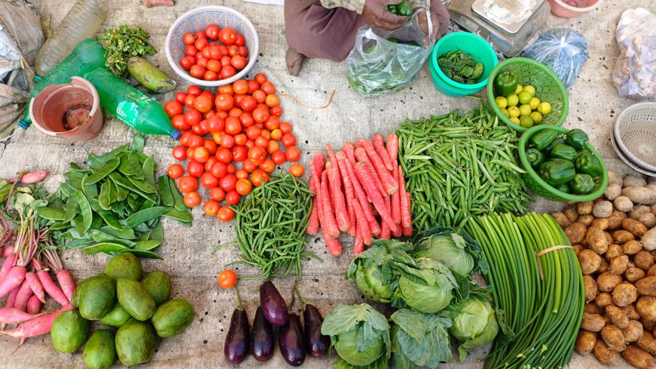 Health Literacy And The Flood Of Advice: Making It Part of Your Day