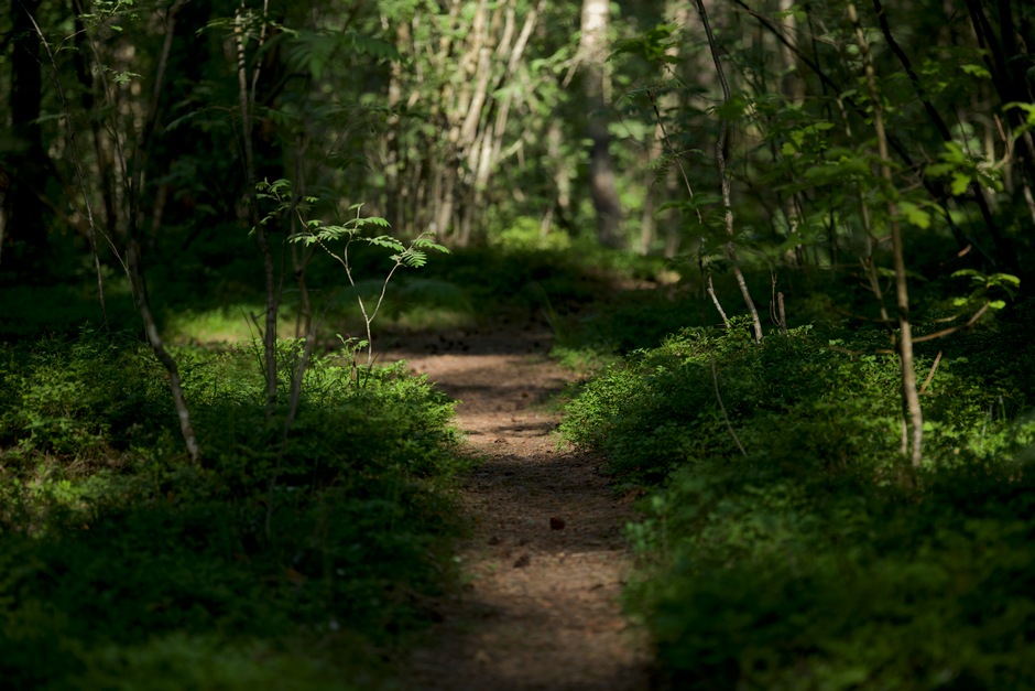 Health Over A Lifetime, Not A Season: One Habit at a Time