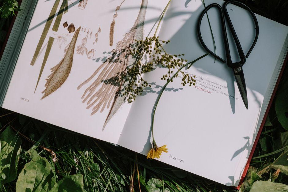 Holding On to Gut Health Beyond The Marketing Over Time, Made Simple