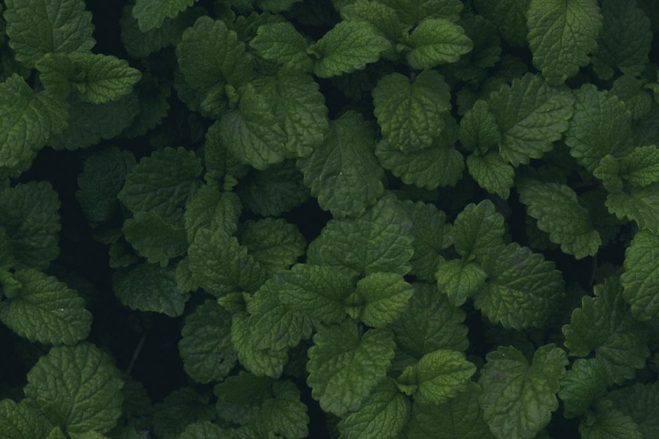 A Kinder Approach to Hydration, Breath And The Overlooked Basics, Minus the Overwhelm