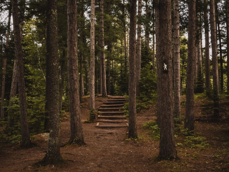 Keeping Starting Over Without Starting From Scratch Simple, Without Overthinking It