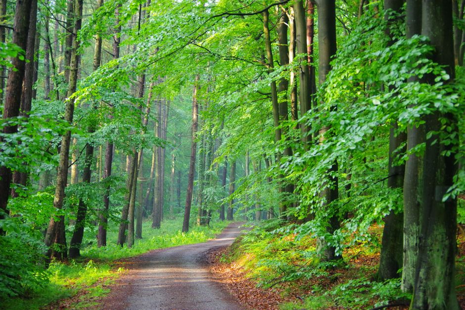 Living Well With Starting Over Without Starting From Scratch in Mind, on a Normal Week