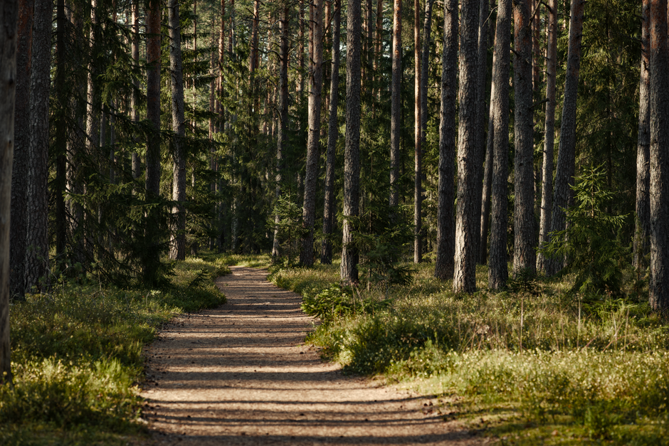 The Case for Mental Health Is Health, Minus the Overwhelm