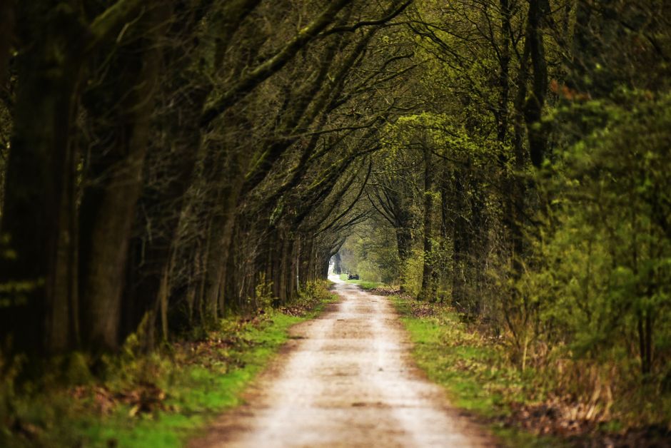 Moving More Without Going To A Gym: The Honest Version