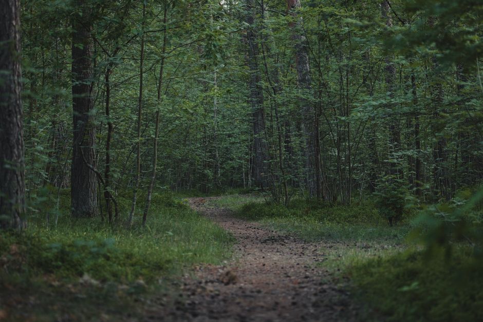 One Week of Focusing on Tracking, Measuring And When To Stop, Made Simple