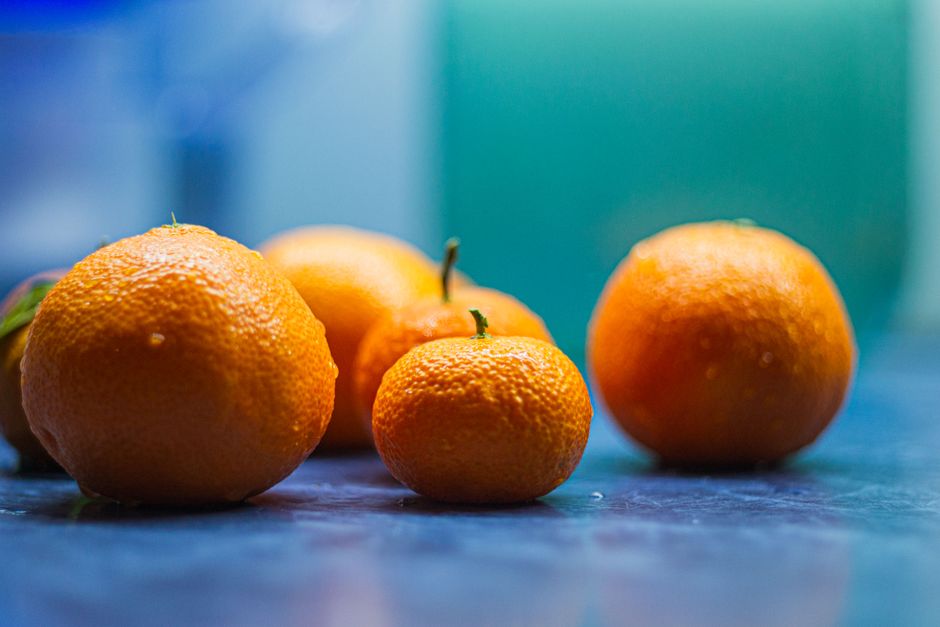 Rethinking Probiotics In Plain Language, Made Simple
