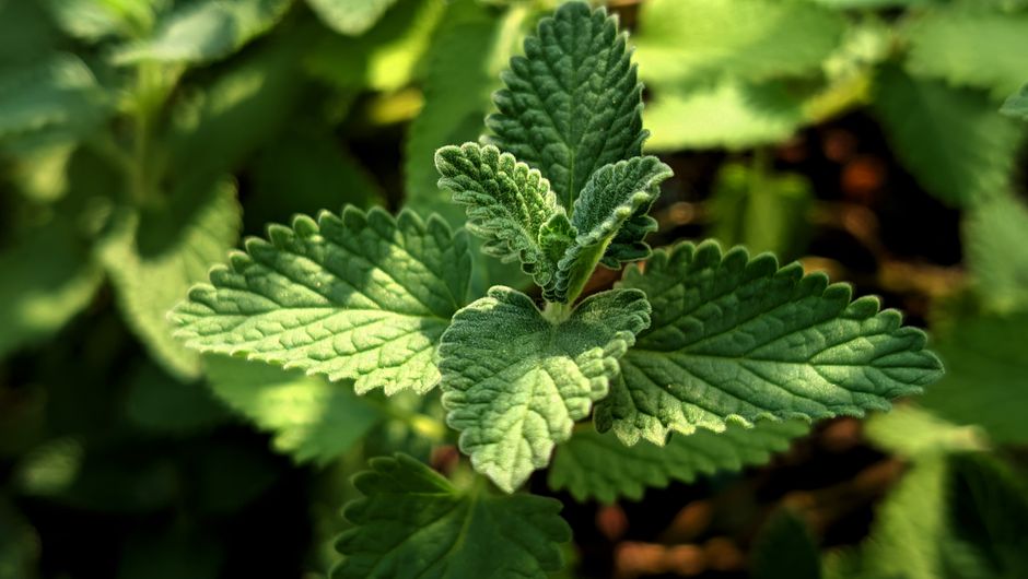 Room for Seasonal Changes And How The Body Responds in a Full Day, Without the Hype