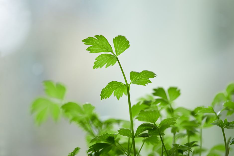 Seasonal Changes And How The Body Responds: Small Steps That Stick