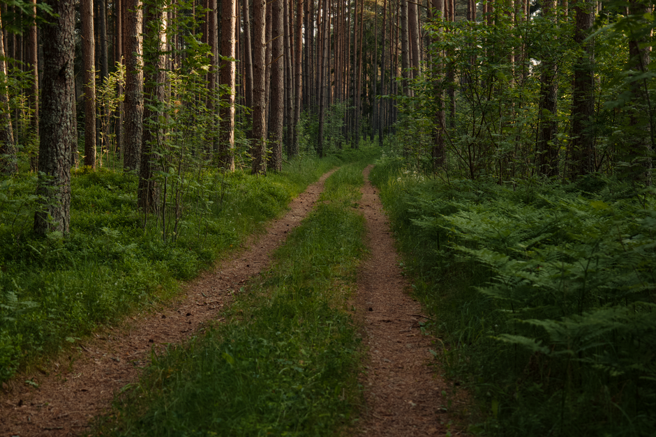 Simplicity As A Health Strategy: A Beginner's Guide