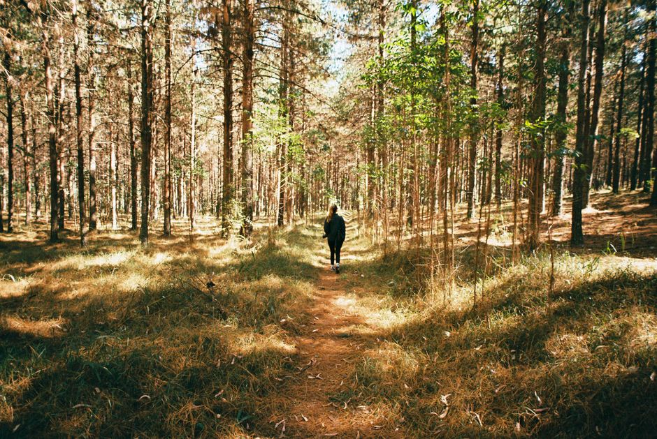Simplicity As A Health Strategy for Busy People, Step by Step