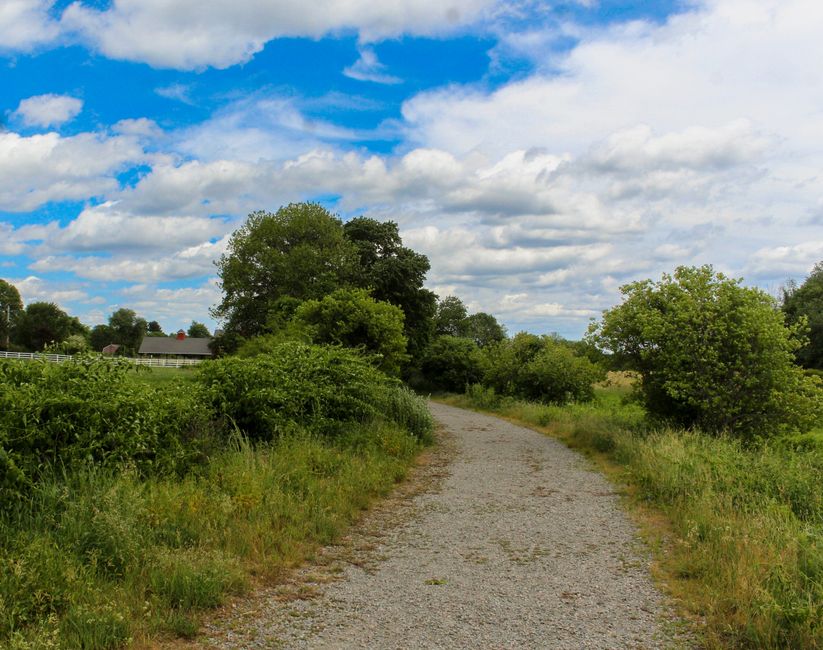 Simplicity As A Health Strategy: What Actually Works