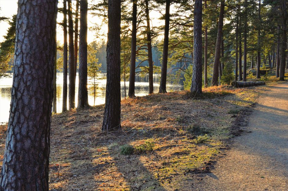Small Lifestyle Changes That Matter: A Realistic Plan