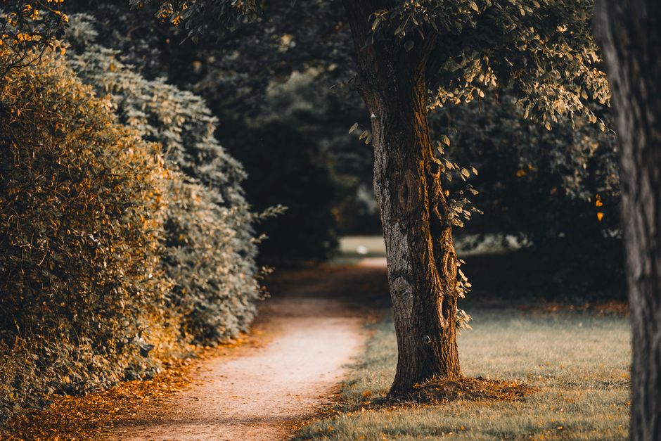 Starting Again After A Setback: What Changes With Age