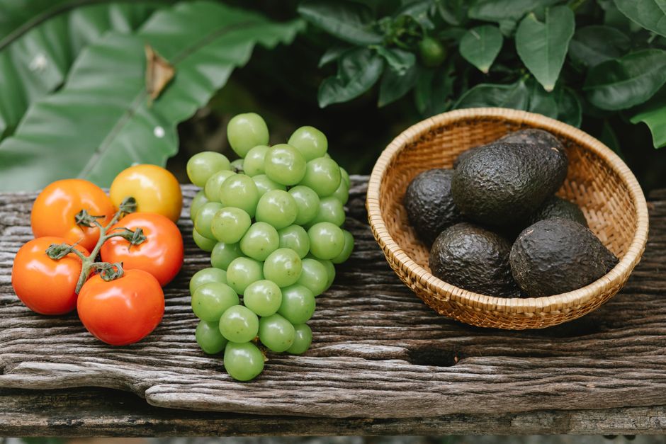 Sustainable Weight Change Versus Crash Diets for Busy People, Explained Simply