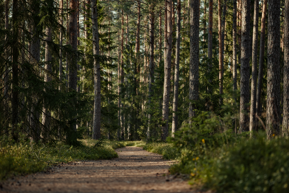 The Connection Between Body And Mind as the Years Add Up, One Step at a Time