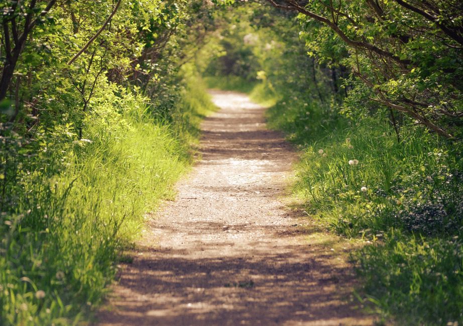 The Connection Between Body And Mind in Your 40s, 50s and Beyond, Step by Step