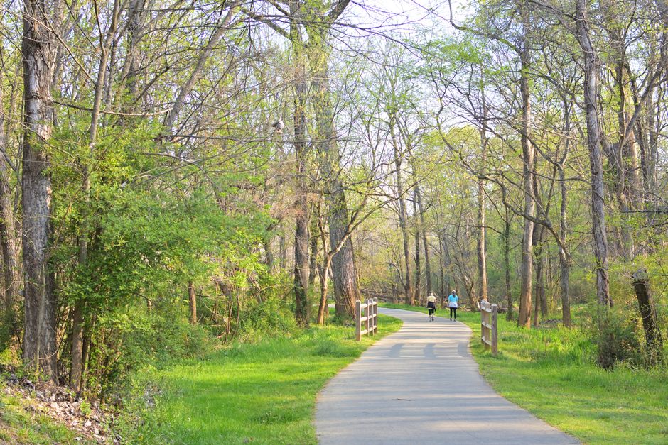 The Habit Of Moving Through The Day: Making It Part of Your Day