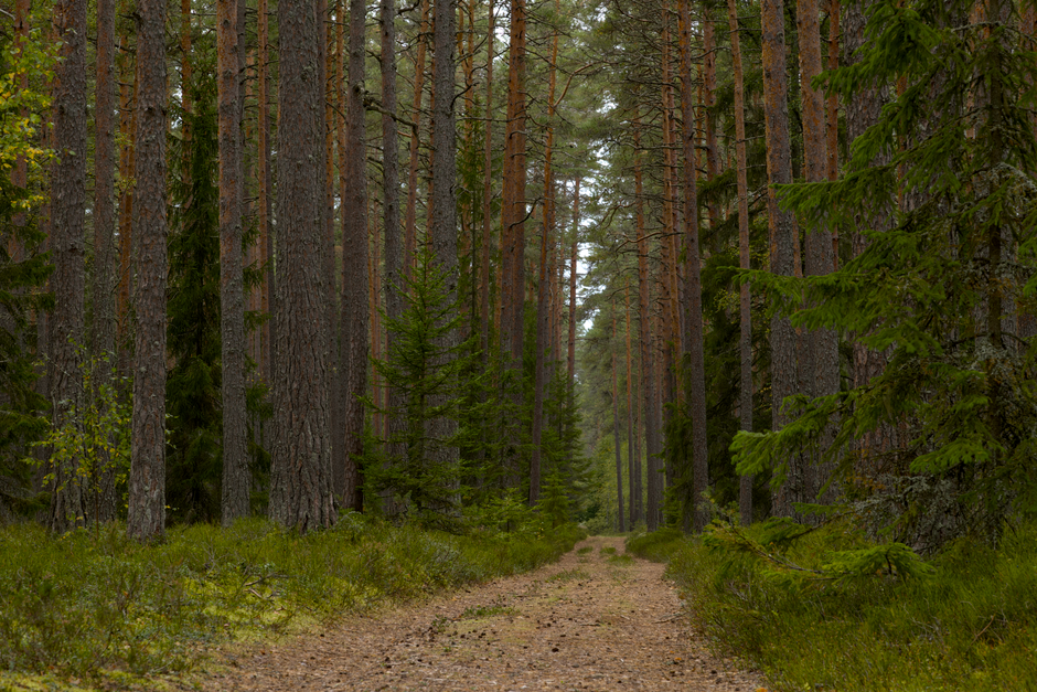 The Importance Of Personal Well-Being: Sorting Fact From Fiction