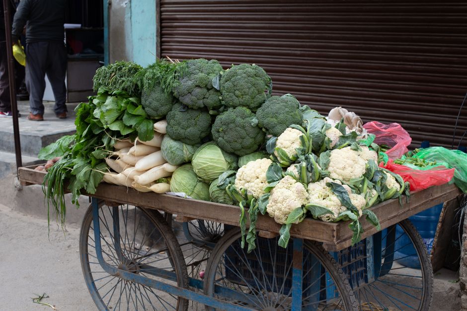 The Many Meanings Of A Healthy Diet: Where to Start