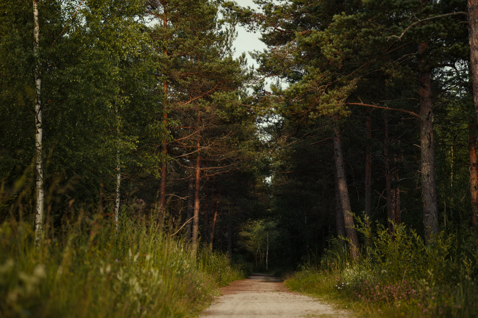 The Ordinary Virtues Of Walking: Common Mistakes to Avoid
