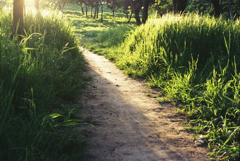 The Pleasure Principle In Healthy Living in Your 40s, 50s and Beyond