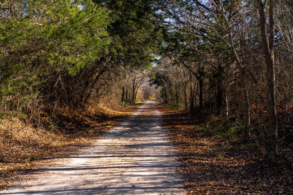 The Pleasure Principle In Healthy Living When You're Short on Time