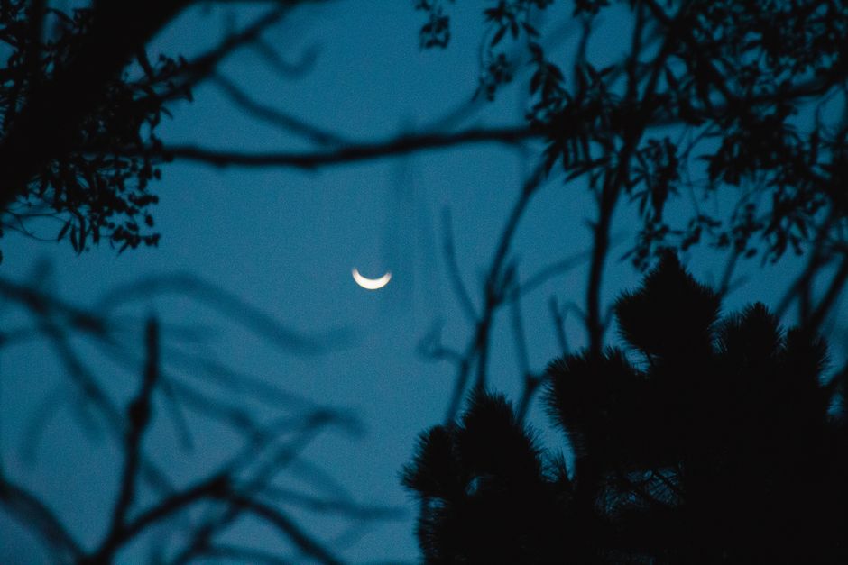 The Quiet Importance Of Rest: What Not to Do