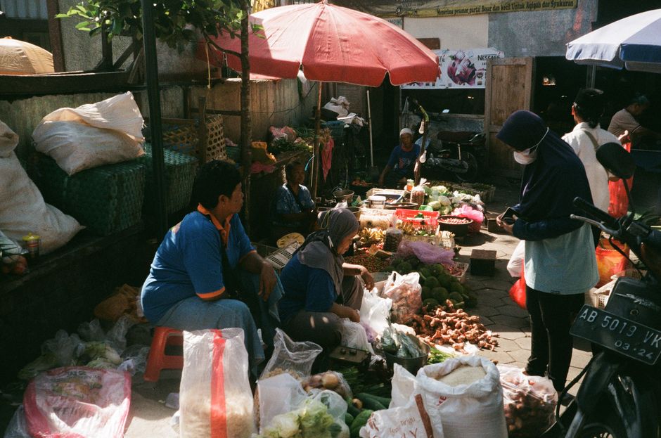 The Role Of Environment In Health: Practical Steps You Can Use