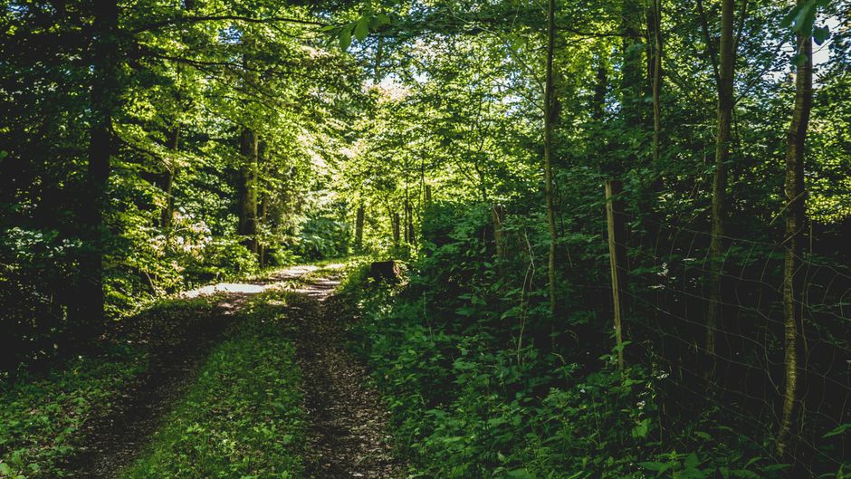 Tracking, Measuring And When To Stop: A Calmer Approach