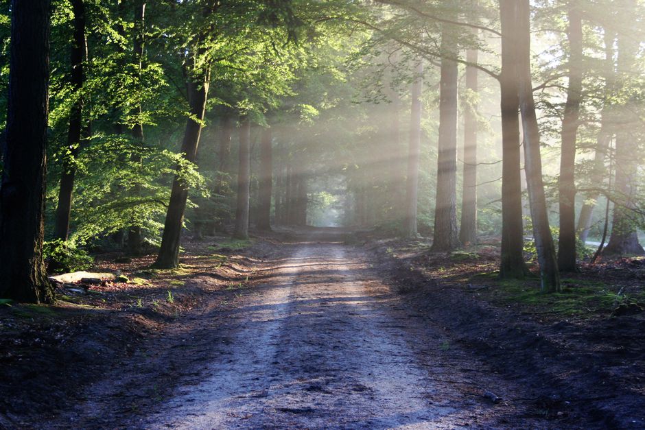 A Sensible Look at Understanding Health And Wellness, Made Simple