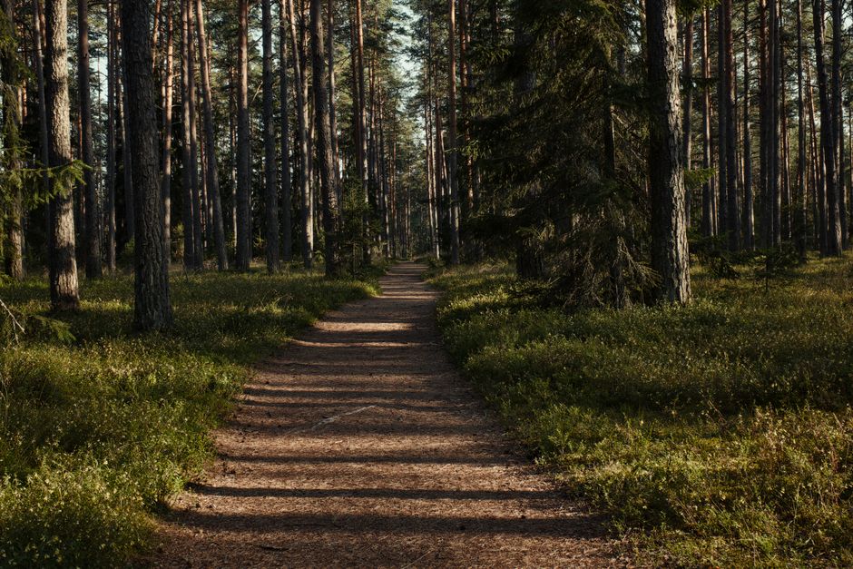 A Practical Take on Small Lifestyle Changes That Matter, for Real Life