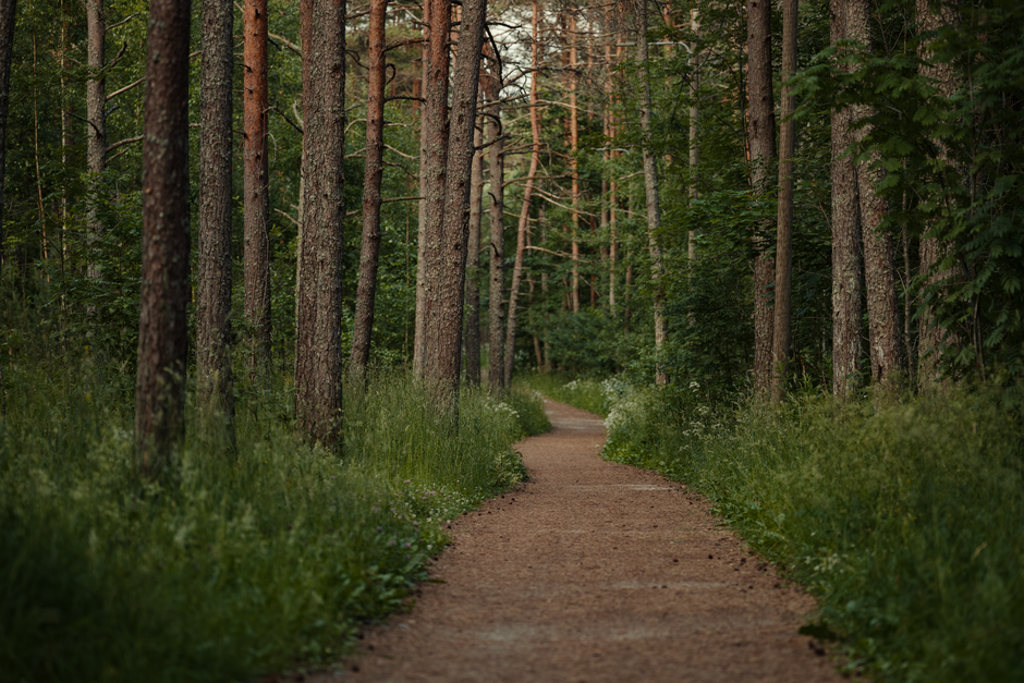 Understanding The Social Side Of Well-Being in Plain Terms