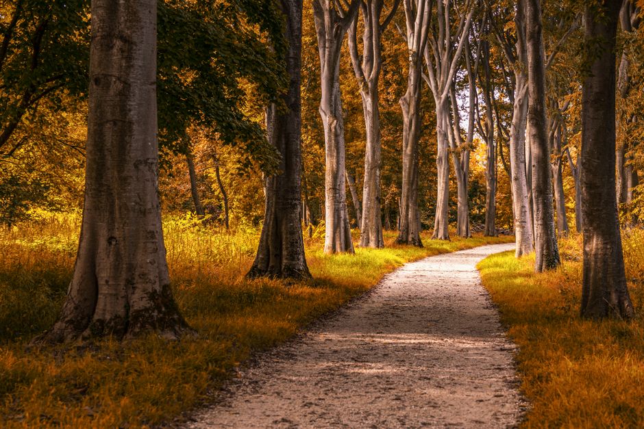Walking: The Most Underrated Exercise: What Changes With Age
