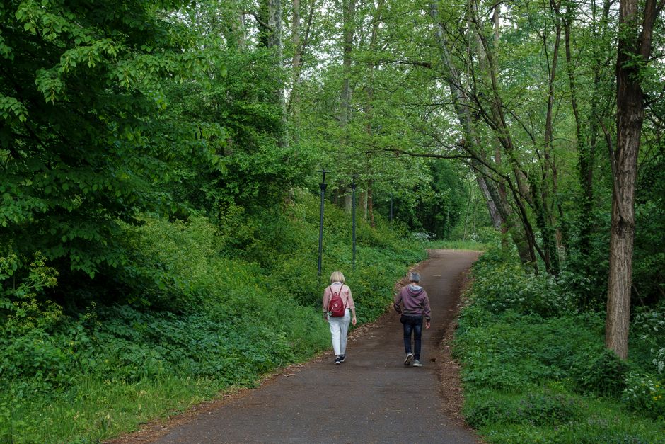 Wellness At Different Life Stages for Busy People